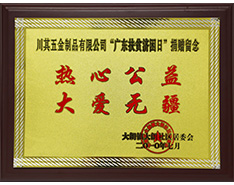 广东扶贫济困-2010 